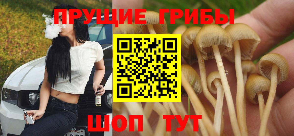 хочу   Вход с VPN  Валуйки  Псилоцибиновые грибы MAGIC MUSHROOMS 