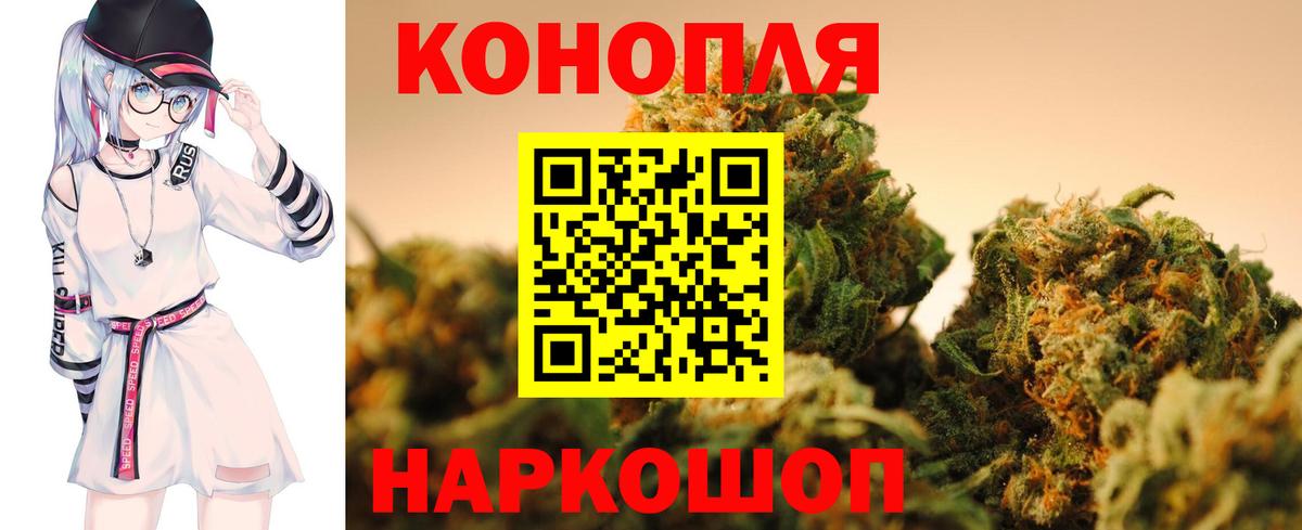 Бошки Шишки планчик Валуйки